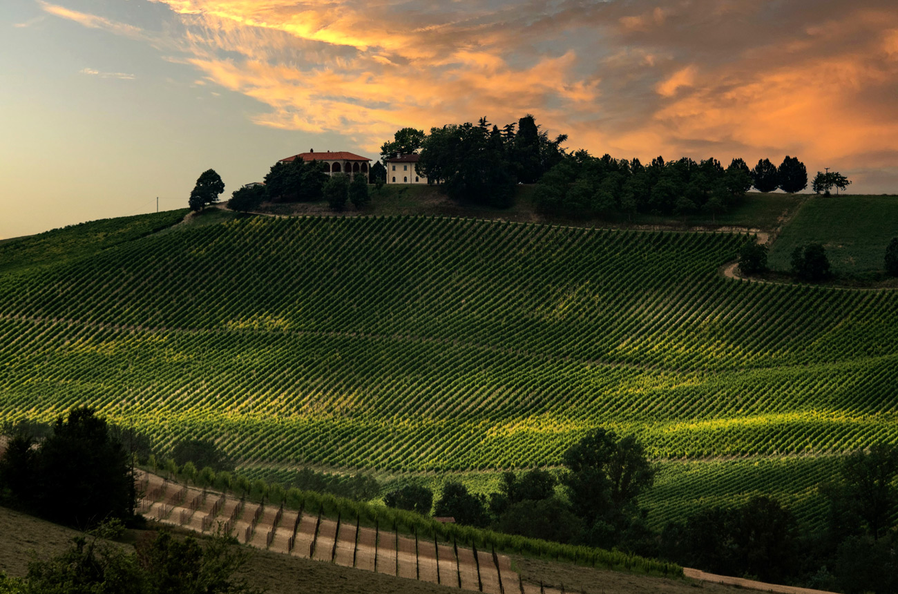 Ruch&egrave; di Castagnole Monferrato vineyards