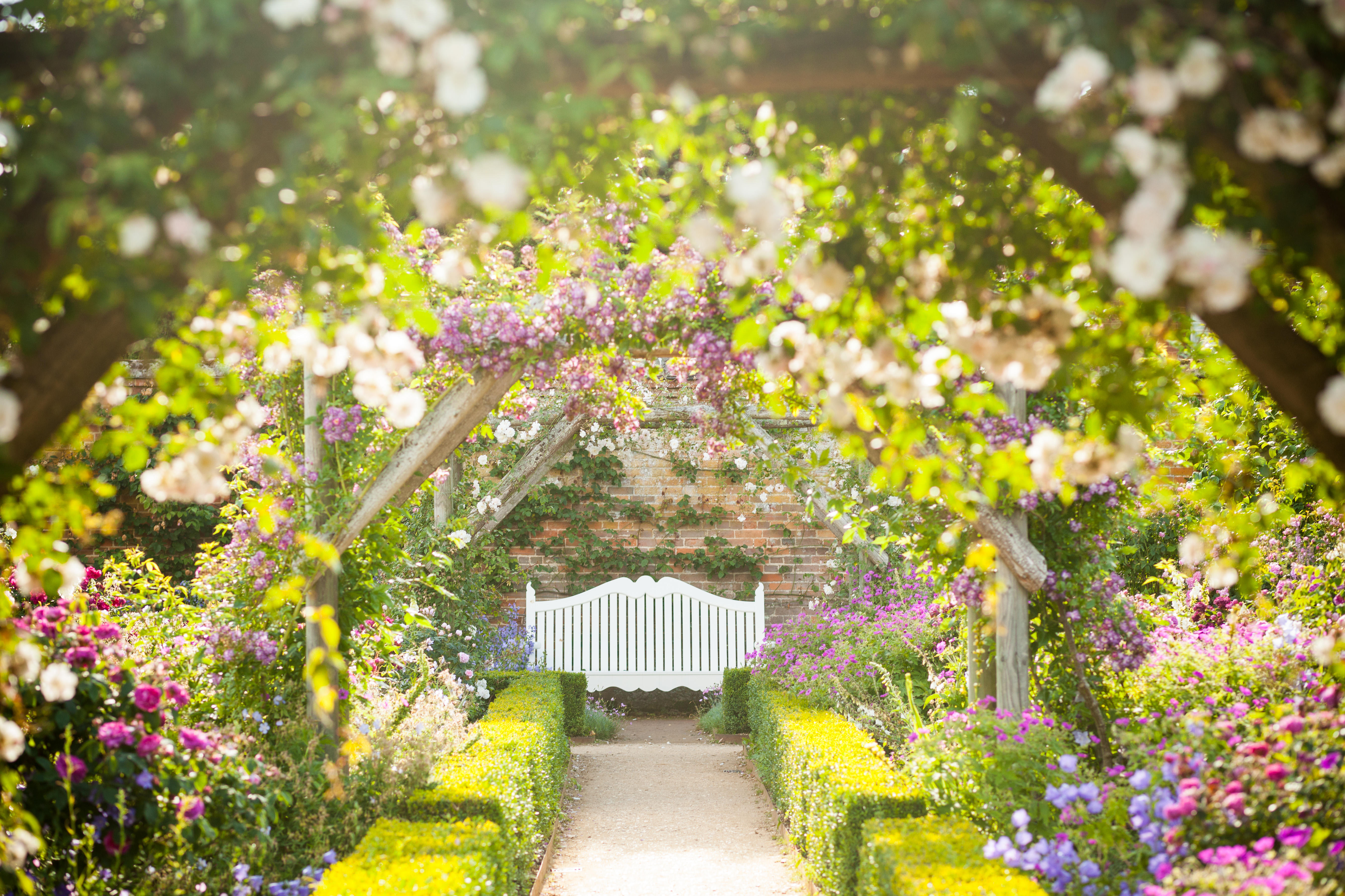 A walled rose garden