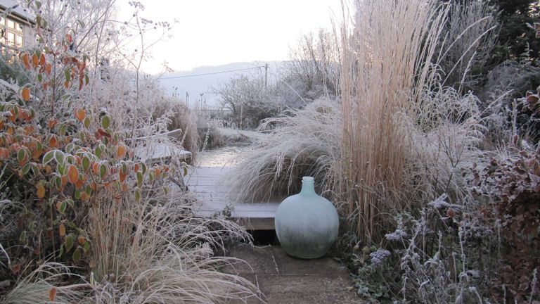 winter landscaping ideas: garden design by Cheryl Cummings