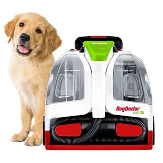 Rug Doctor Pet Portable Spot Cleaner,which is red white and black and has a black hose tucked away in a lower housing area. There is a yellow Labrador puppy with its head tilted next to the machine.