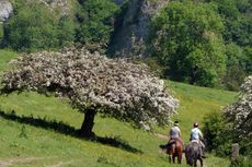 Two riders taking part in equestrian orienteering