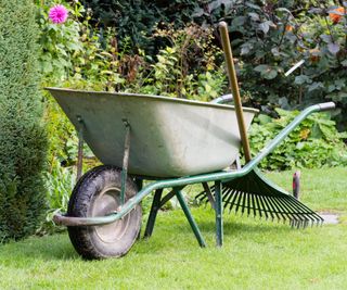 Tools in a wheelbarrow to do fall lawn care