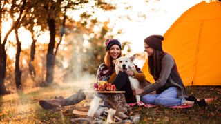 Girls Camping With Siberian Husky On Cold Autumn Day