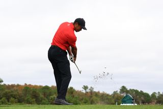Tiger Woods Practising
