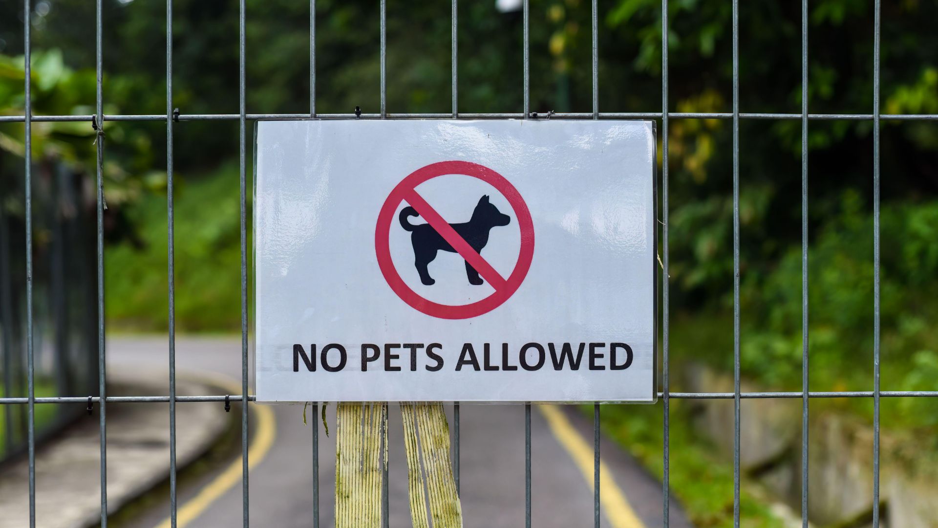 No pets allowed sign on gate