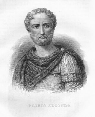 A black and white illustration of Pliny the Elder