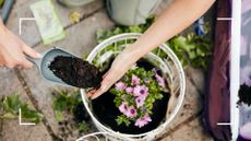 picture of woman planting up a summer hanging basket