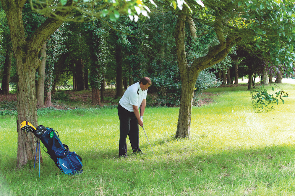 Rough under trees on a golf course
