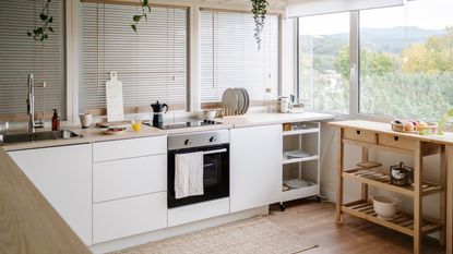 Neutral apartment kitchen with large window