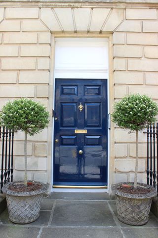 georgian townhouse with blue door and two standard bay trees either side of the door in stone pots
