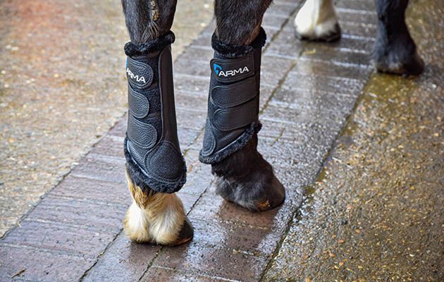 ARMA brushing boots review