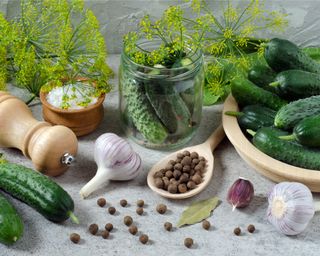 Ingredients for pickling on a counter