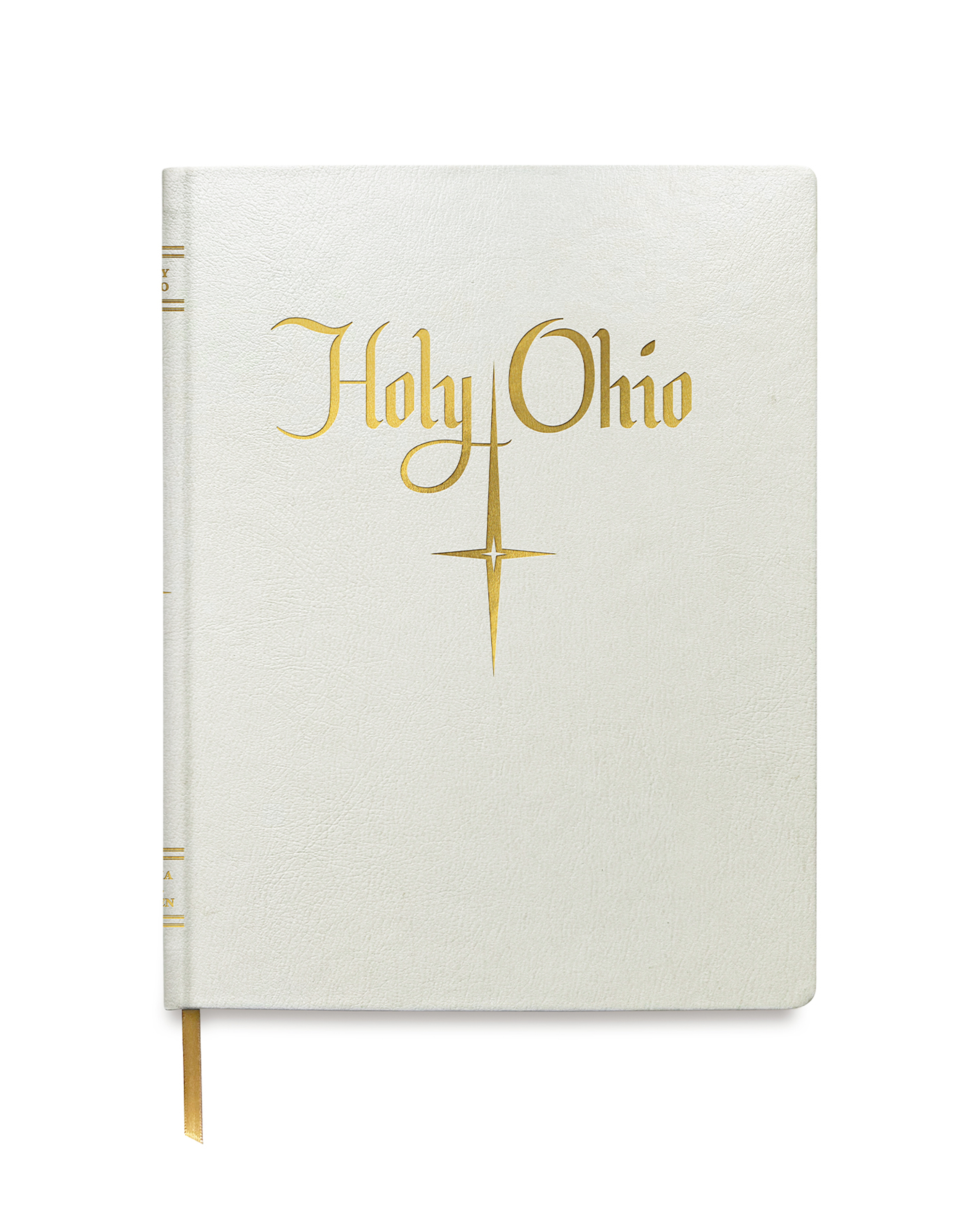 nadie lee cohen holy ohio book
