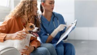 A small tan and white dog sat on a woman's lap while talking through notes with a vet in blue scrubs