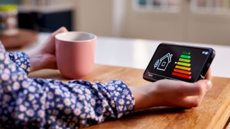 energy prices woman looking at smart meter