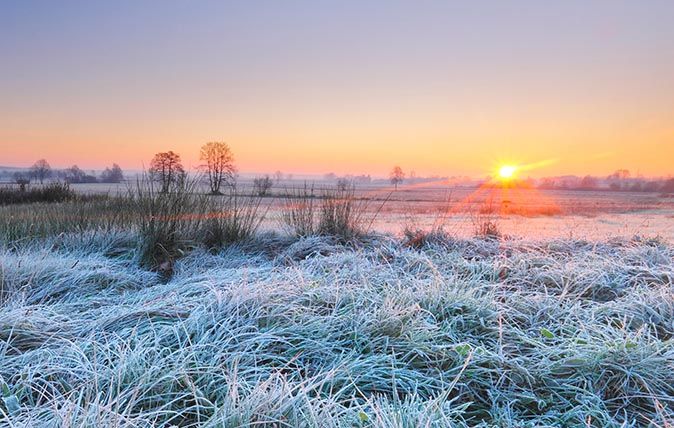 Frosty field at sunrise