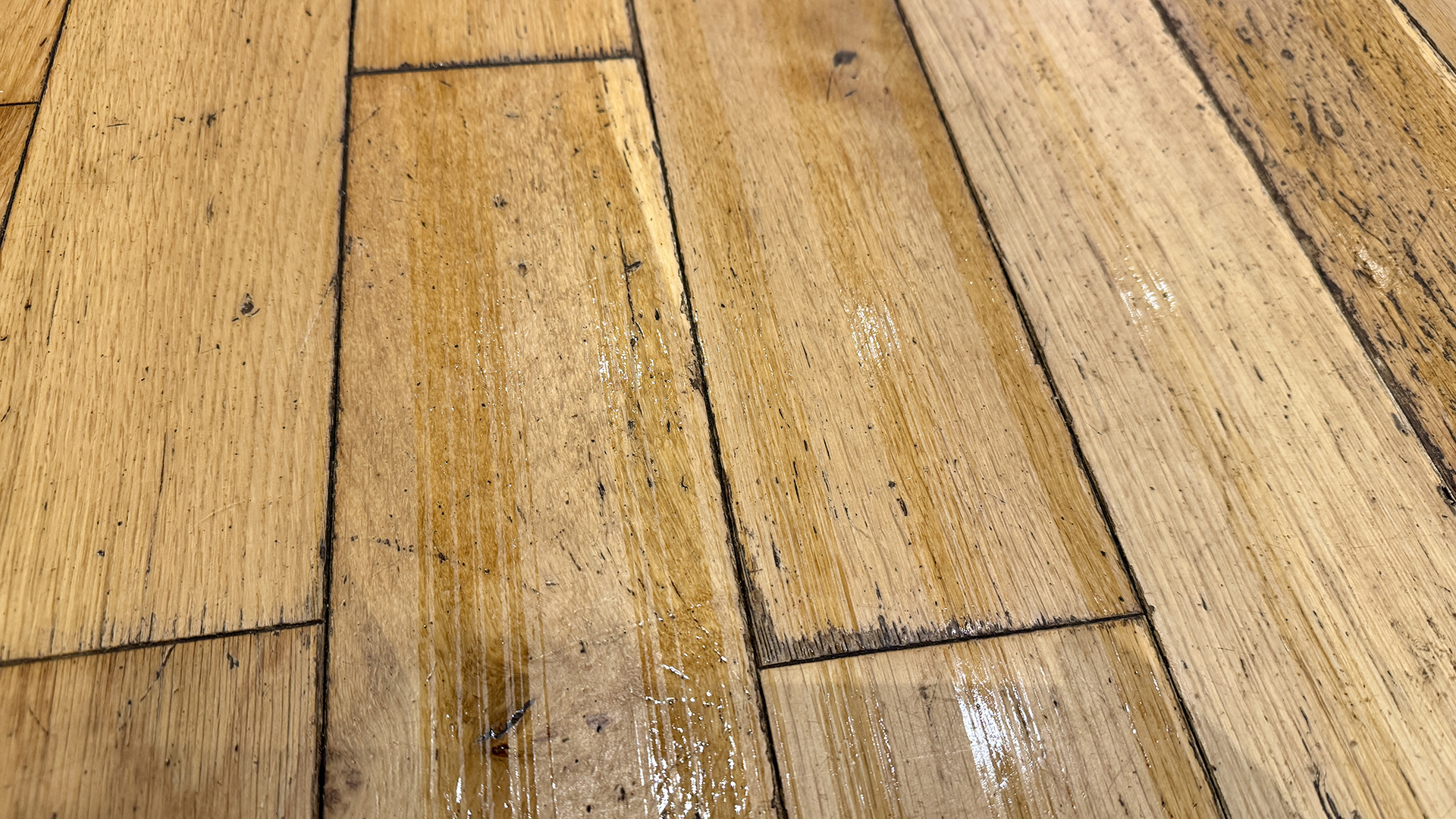 Damp strips on wooden floor after it has been mopped by Roborock Q5 Pro Plus