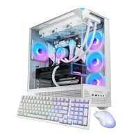 iBuyPower Element Pro Gaming PC