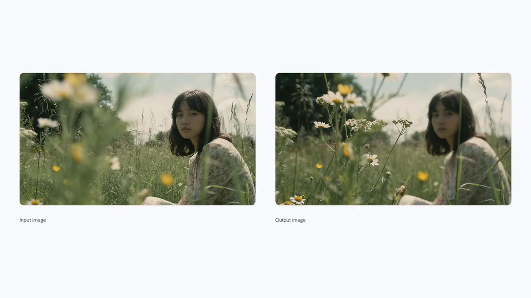 An example of input and output images from Nano Banana Pro