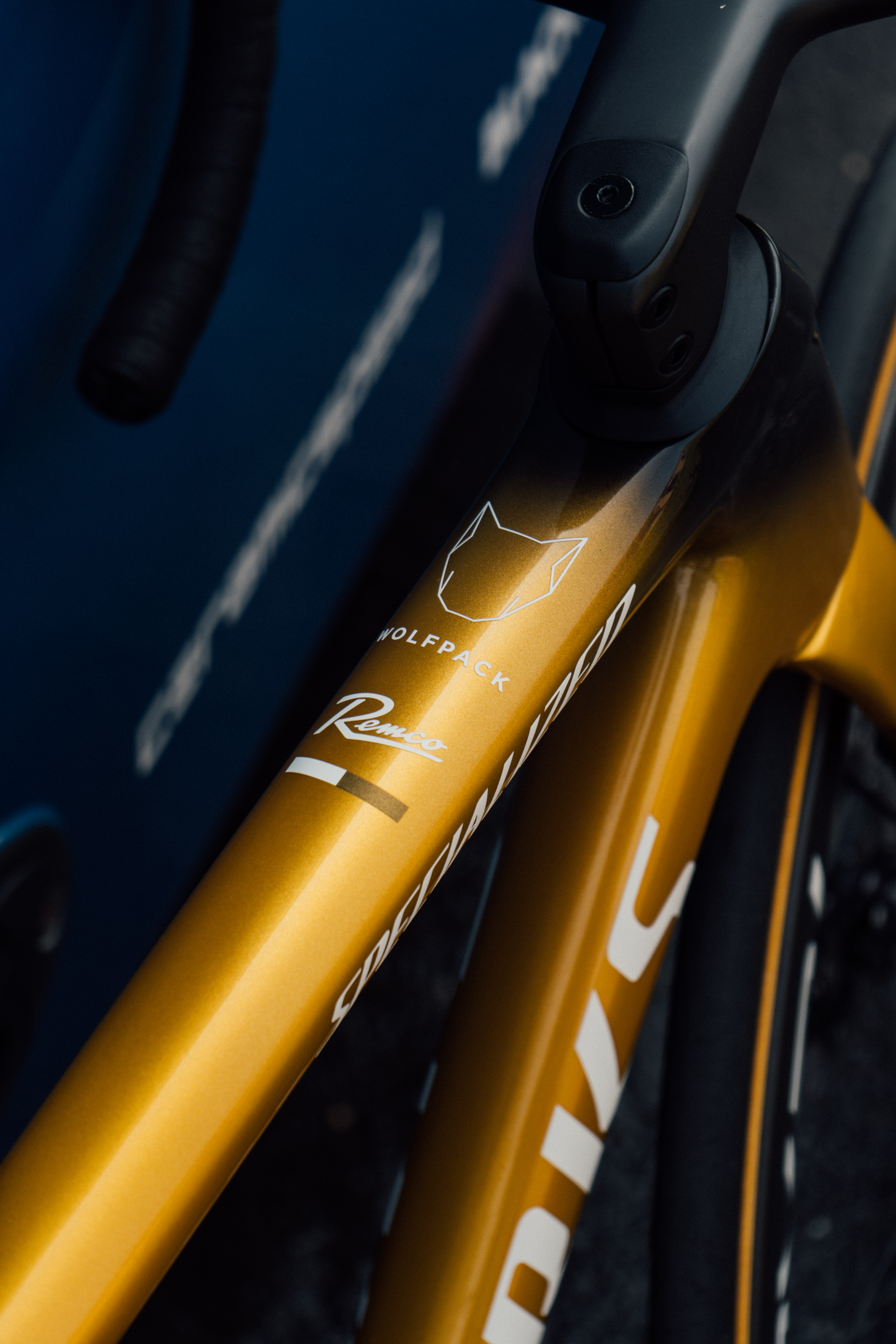 Remco Evenepoel's race bike