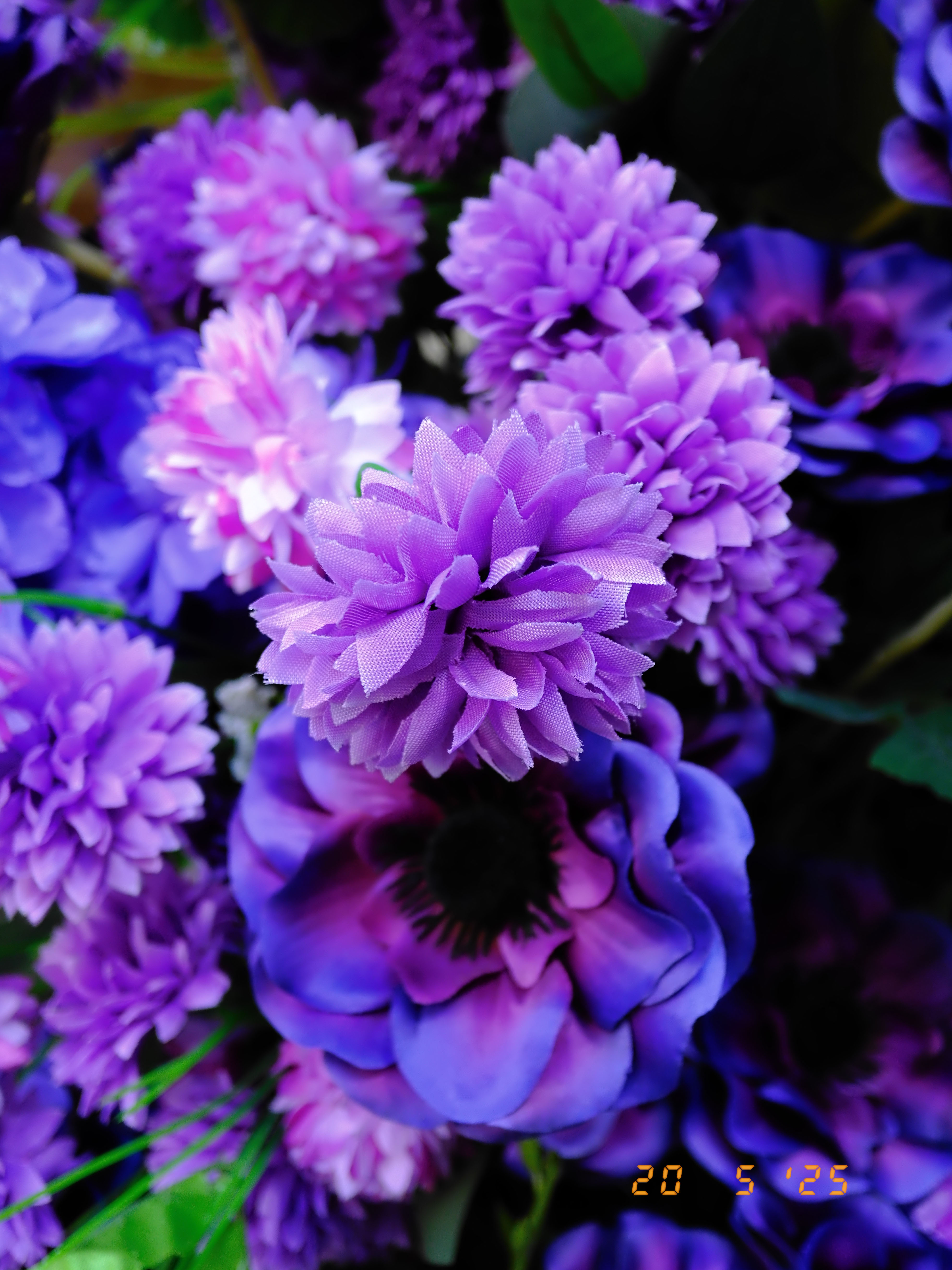 A photo taken on a Fujifilm X half digital film camera