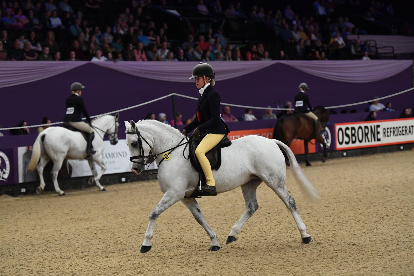 HorseNo1133_HOYS_PN19_150758-e1570528563985.jpg