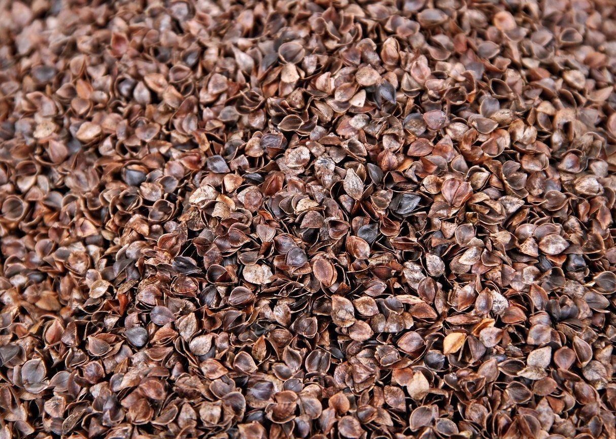 buckwheat hulls