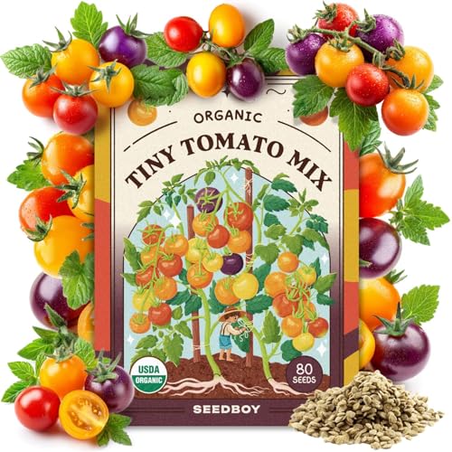 Seedboy Organic Rainbow Cherry Tomato Seeds for Planting Indoor and Outdoor, Non-Gmo and Usda Certified Vegetable Seed Packet for Hydroponic Garden Indoor or Planting Outdoors (cherry Tomato)
