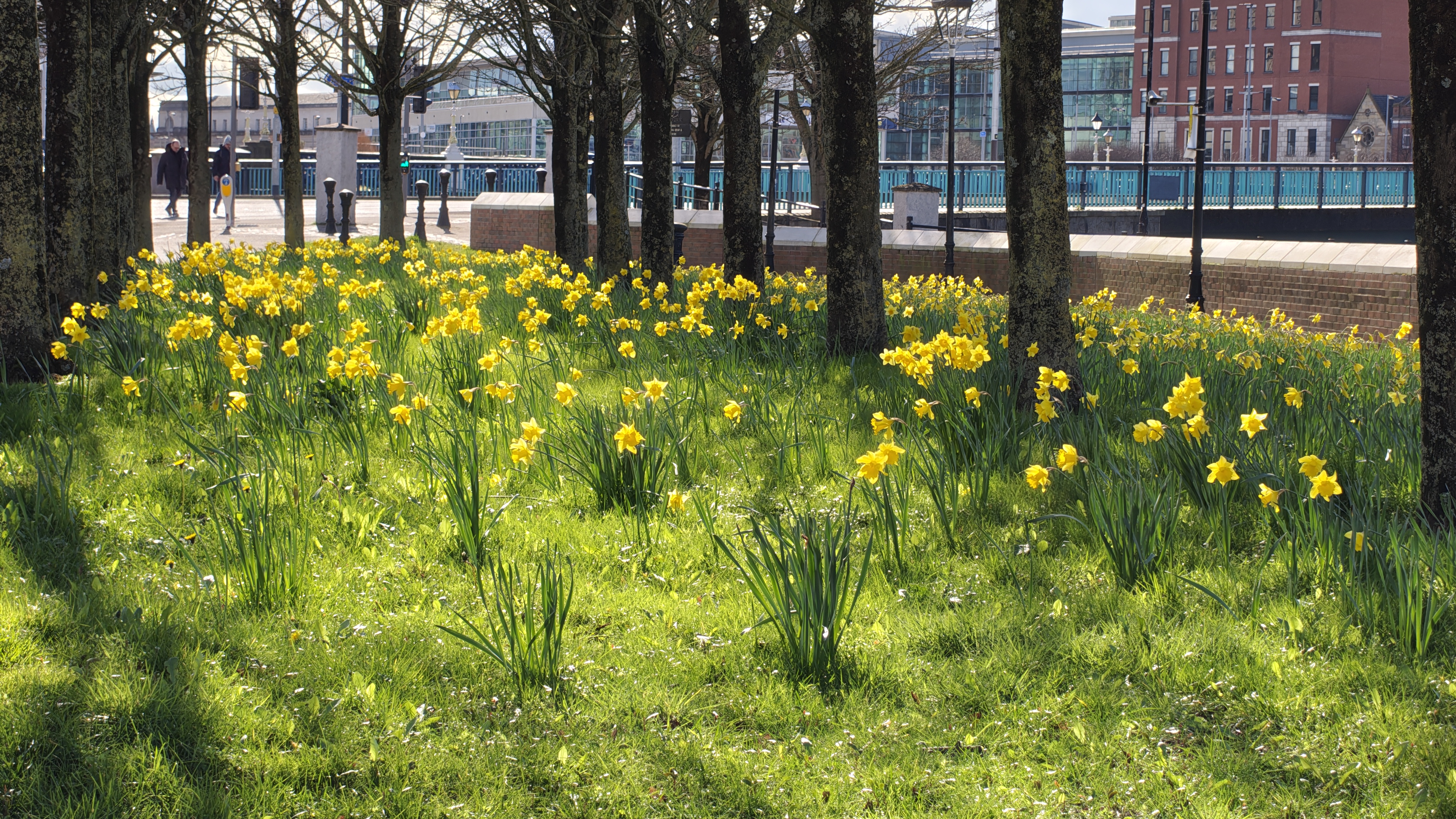 Nothing Phone (4a) Pro review camera samples