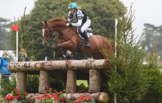 VASSILY-DE-LASSOS_Blenheim_PN17_98669_129278431_215167912.jpg
