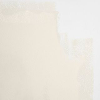 cream paint swatch on white wall