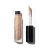 Beauty Pie Everyday Great Skin Concealer