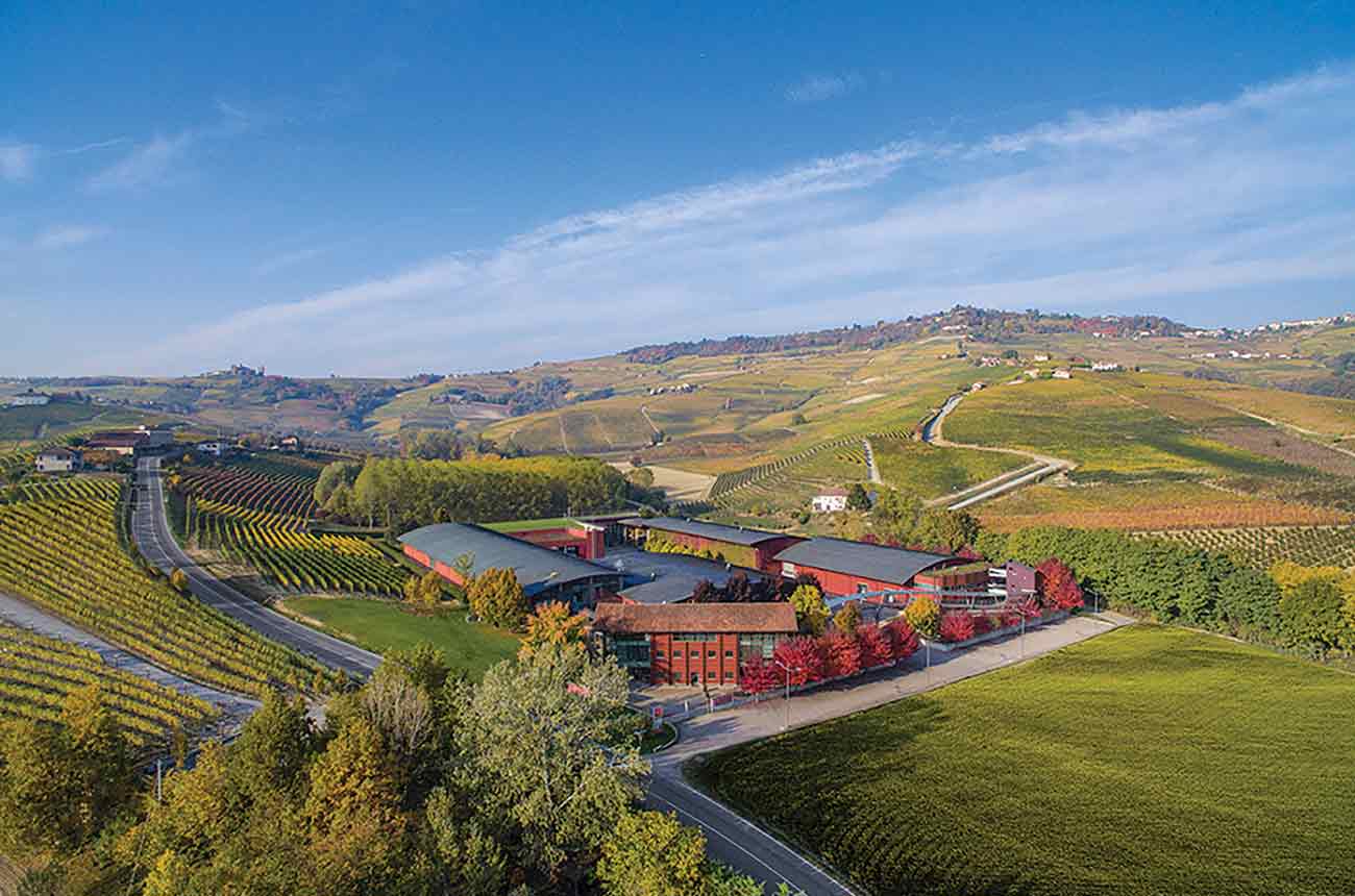 Vite Colte winery in Piedmont, Italy