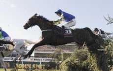 Ryan Mania retires