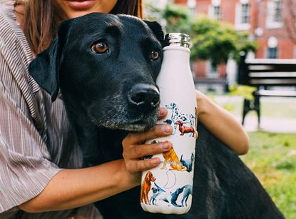 Best water bottles: 5 picks to keep you hydrated 
