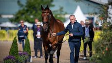 Britain&rsquo;s Richard Davison and Bubblingh during the World Dressage Championships trot-up in Herning, Denmark
