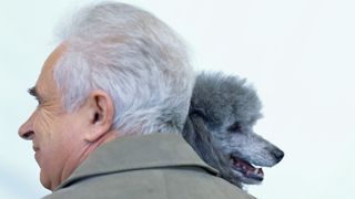 Grey poodle with old man