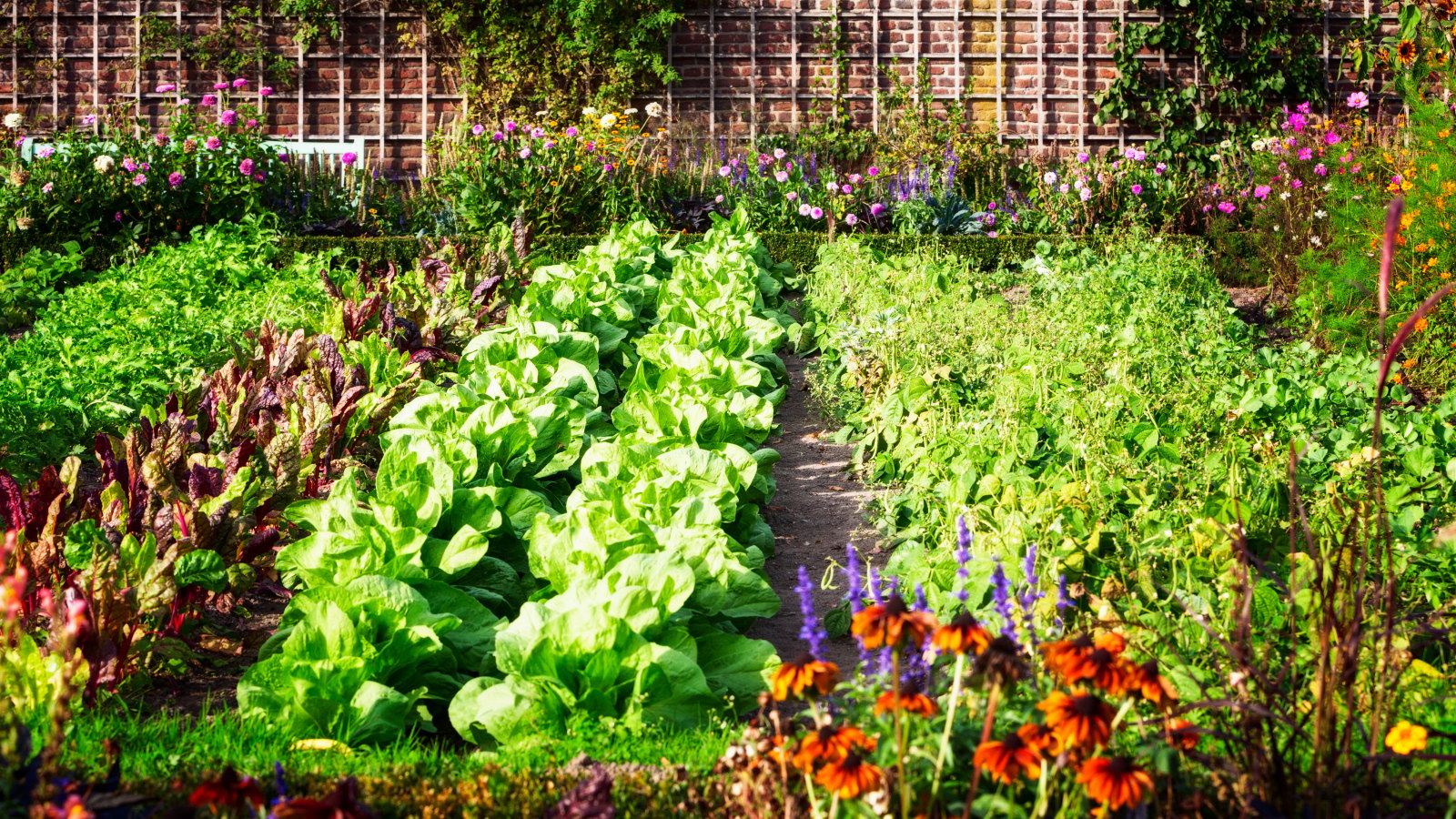 A flourishing vegetable garden in summer, with flowers