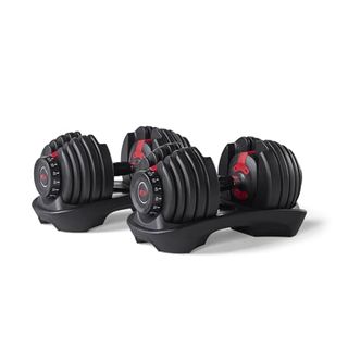 Bowflex Selecttech 552 Adjustable Dumbbells