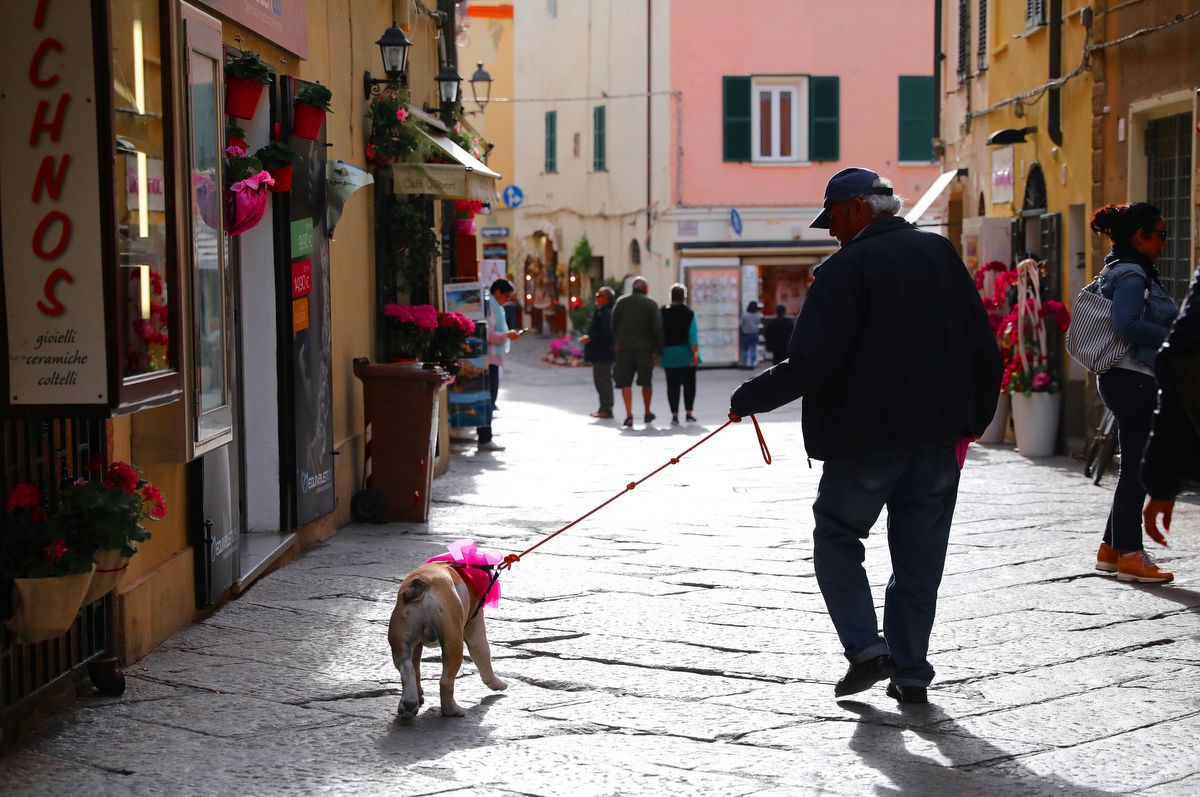 Even the dogs of Alghero are excited for the Giro d'Italia