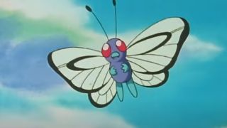 Butterfree in Pokemon.