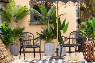 tropical plants in containers on gravel with parasol and chairs