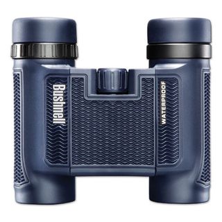 Bushnell H20
