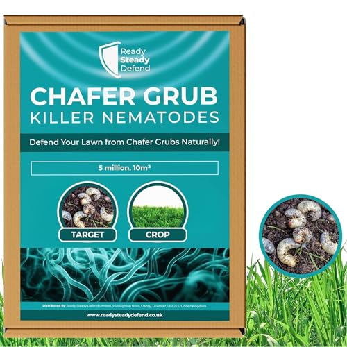 Chafer Grub Killer Nematodes 10 M&sup2; (5 Million) - Natural Beneficial Nematodes for Lawn Protection, Controls Chafer Grubs Effectively, Ideal for Lawn Health &amp; Nematode Treatment, Easy Application