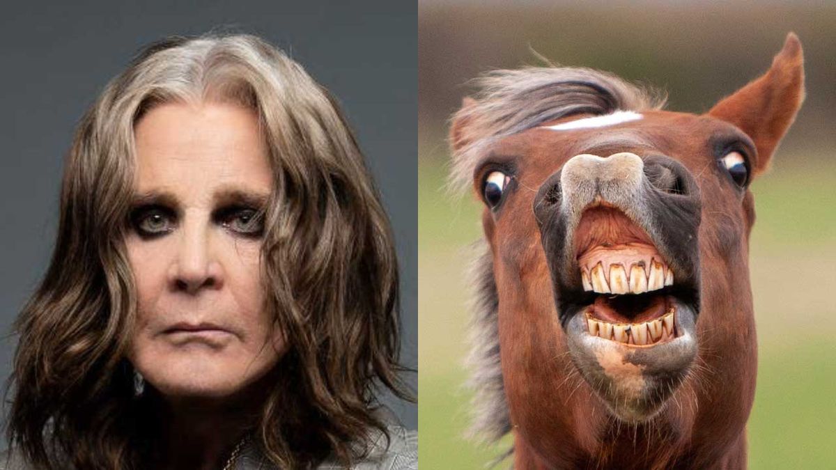 Composite short of Ozzy Osbourne and a horse showing a Flehmen response