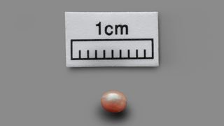 The Abu Dhabi Pearl is faint pink in color and about 0.3 centimeters (0.13 inches) long.