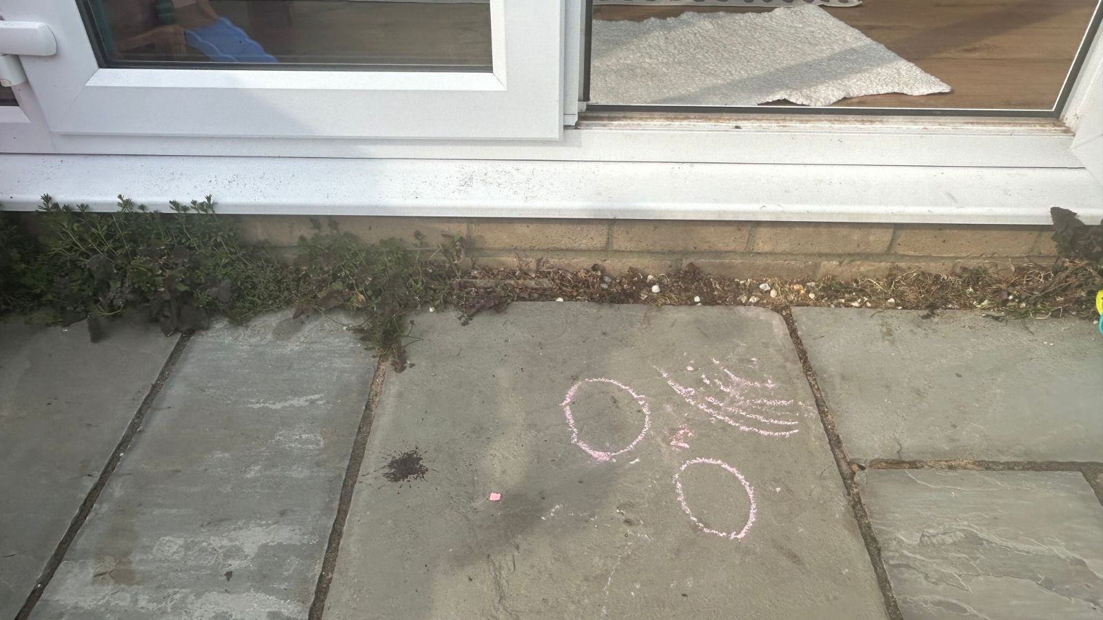 weed killer solution vs hot water after photos of weeds dead on patio