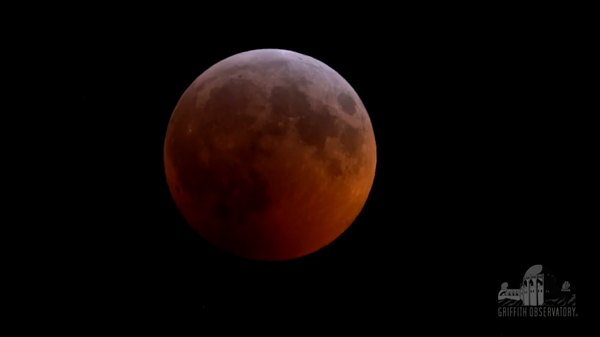 Lunar Eclipse 2019
