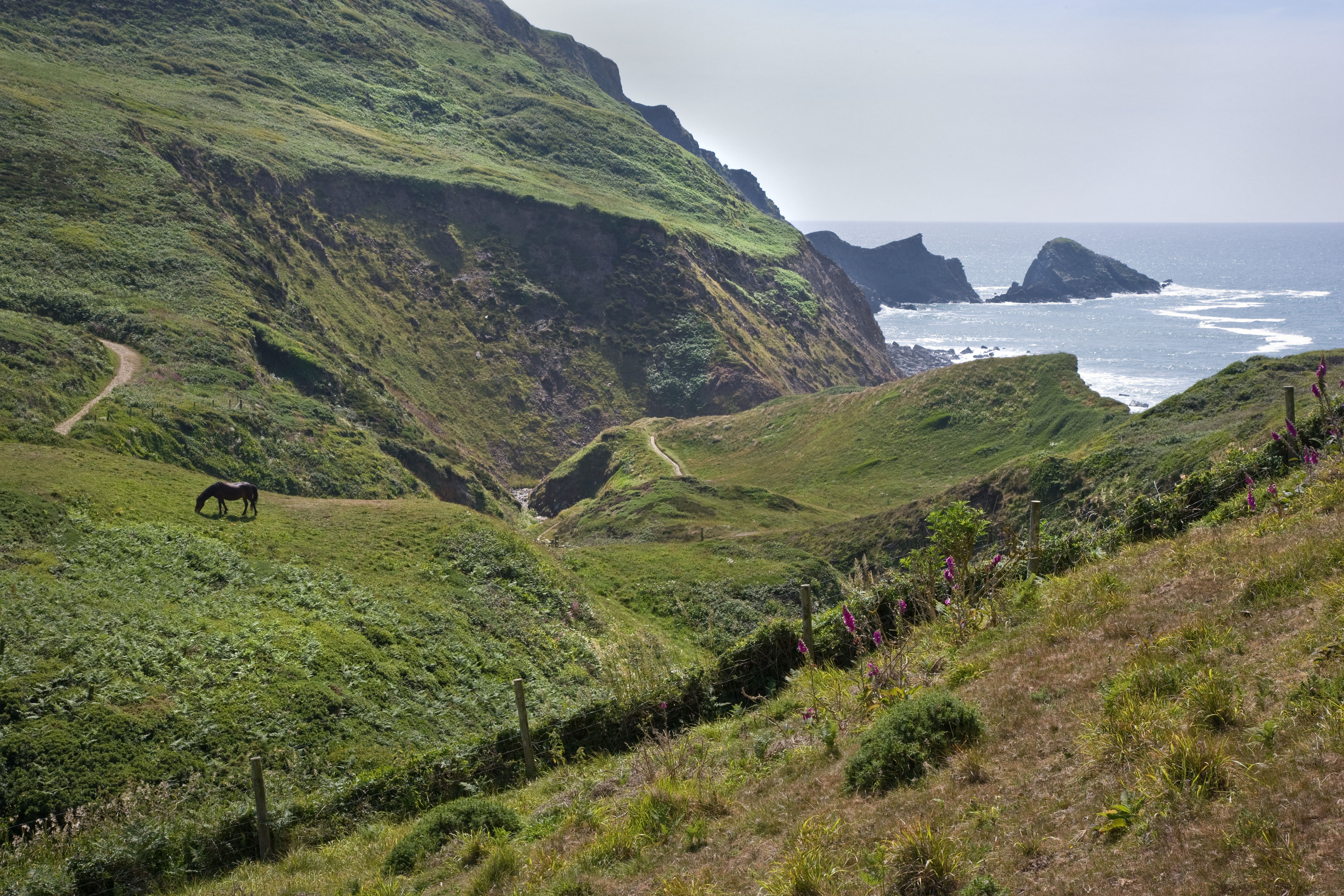 Devon Cornwall Border 