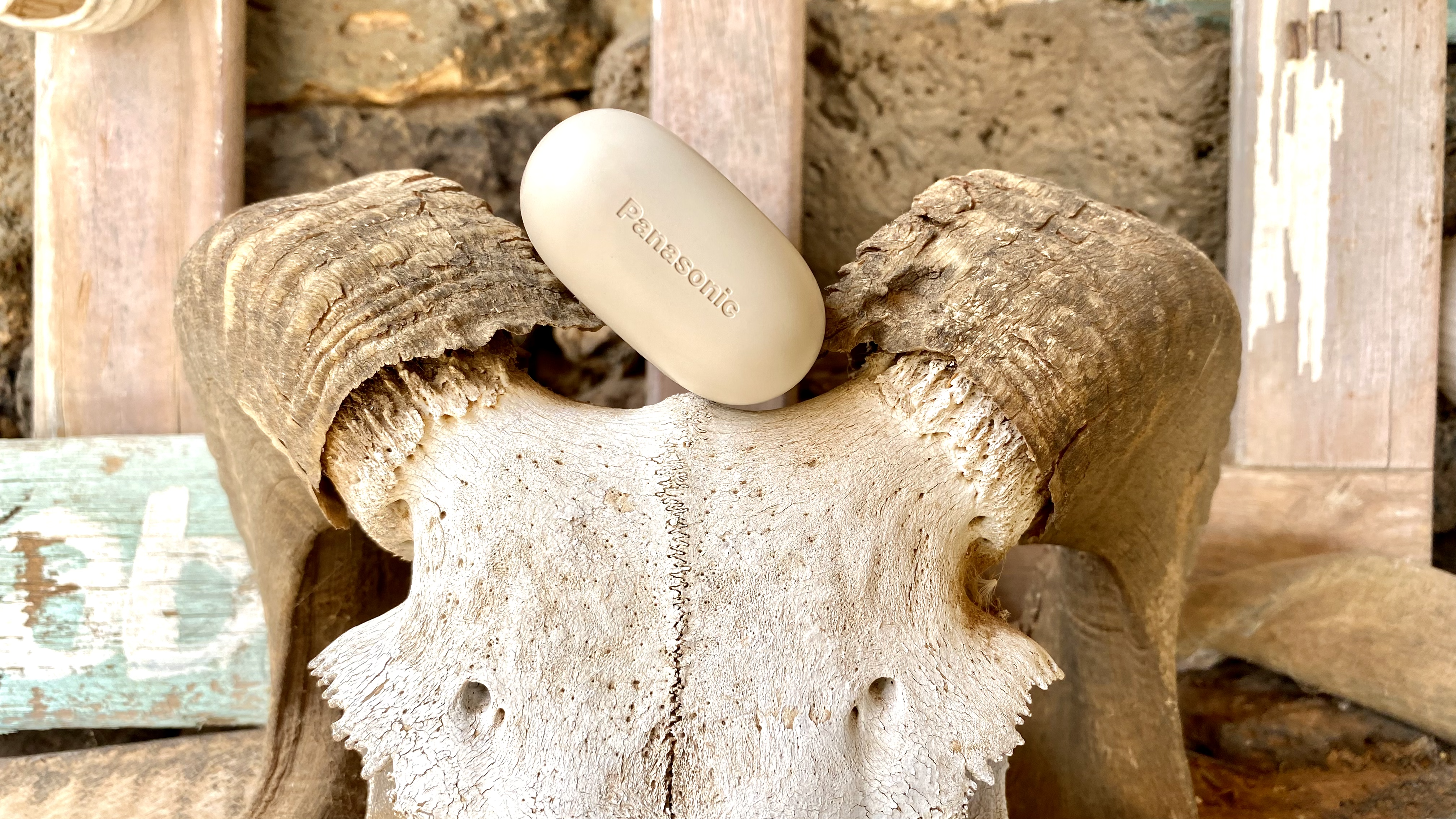 Panasonic RB-F10 open earbuds case on some driftwood